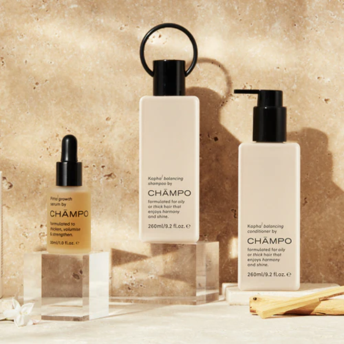 balancing system - Image 3