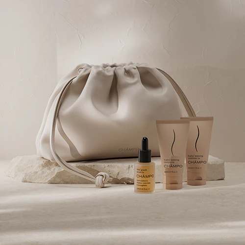 balancing travel system - Image 3